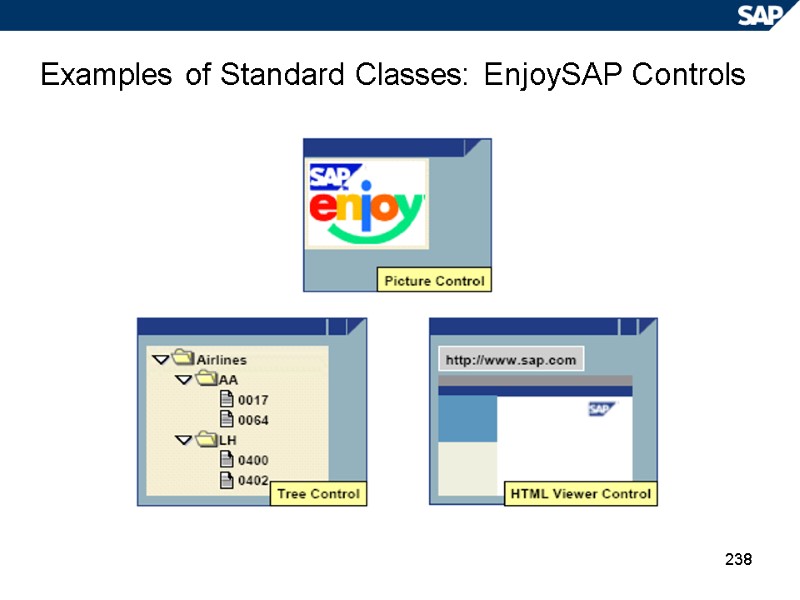 238 Examples of Standard Classes: EnjoySAP Controls